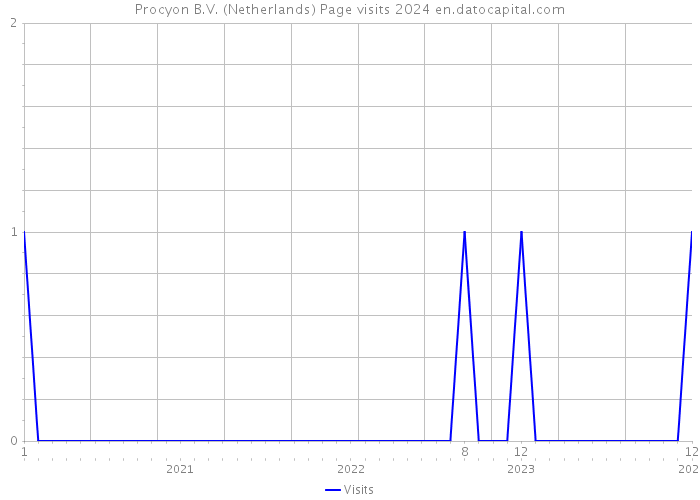 Procyon B.V. (Netherlands) Page visits 2024 