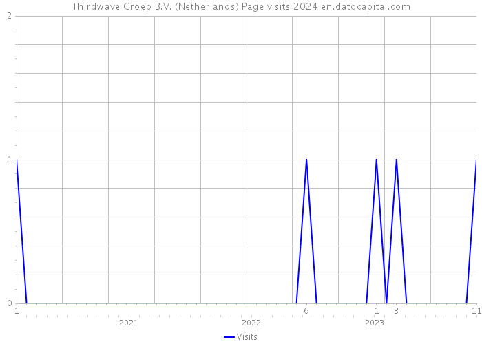 Thirdwave Groep B.V. (Netherlands) Page visits 2024 