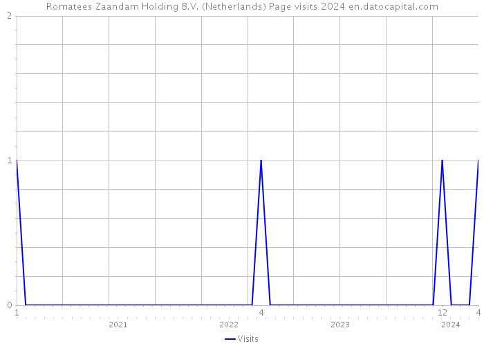Romatees Zaandam Holding B.V. (Netherlands) Page visits 2024 