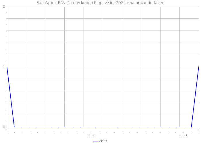 Star Apple B.V. (Netherlands) Page visits 2024 