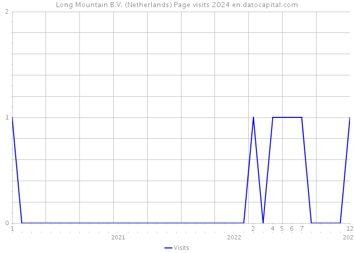 Long Mountain B.V. (Netherlands) Page visits 2024 