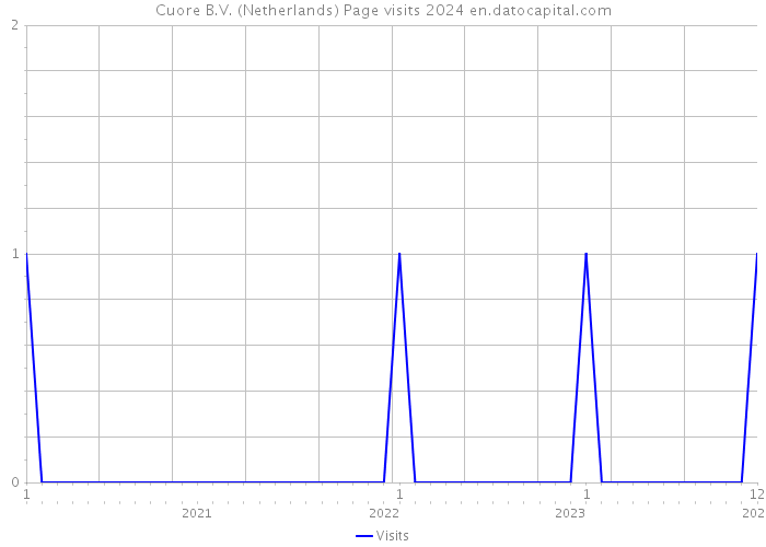 Cuore B.V. (Netherlands) Page visits 2024 
