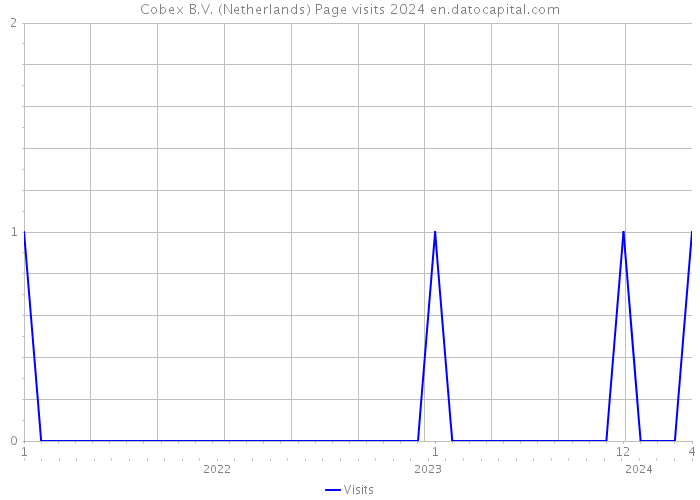 Cobex B.V. (Netherlands) Page visits 2024 