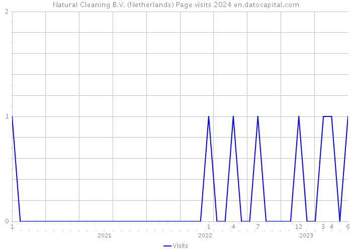 Natural Cleaning B.V. (Netherlands) Page visits 2024 