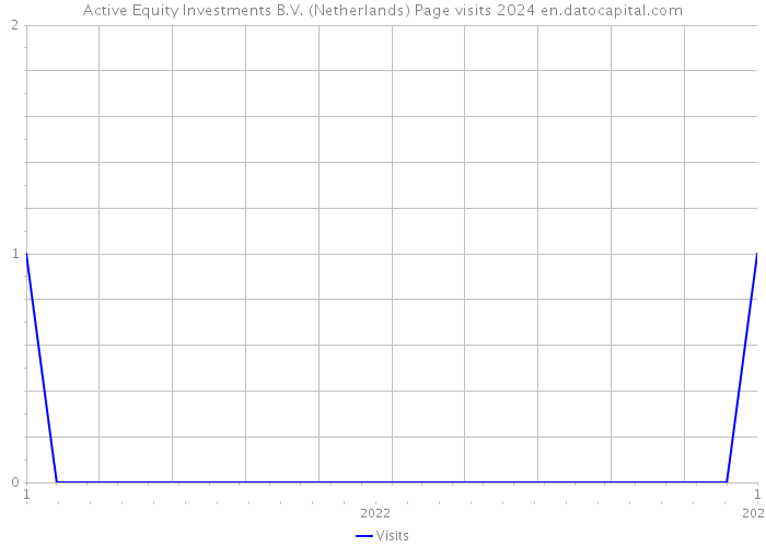 Active Equity Investments B.V. (Netherlands) Page visits 2024 