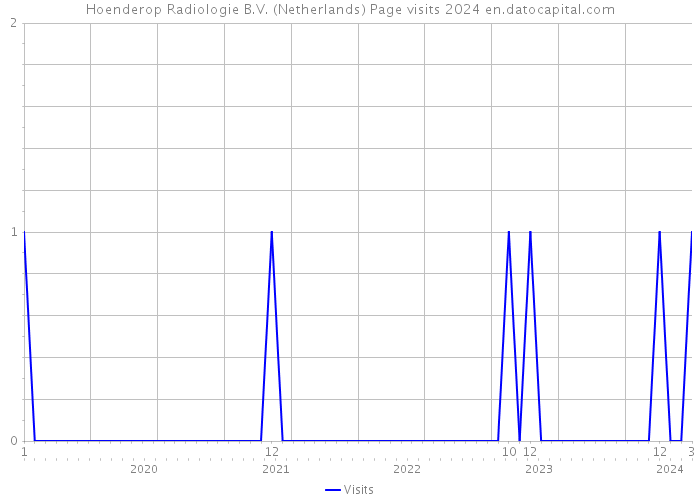 Hoenderop Radiologie B.V. (Netherlands) Page visits 2024 