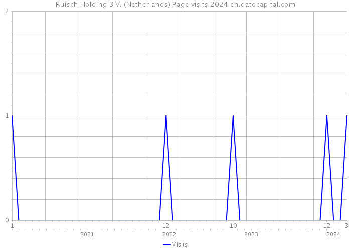 Ruisch Holding B.V. (Netherlands) Page visits 2024 