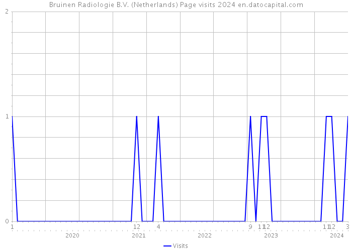 Bruinen Radiologie B.V. (Netherlands) Page visits 2024 