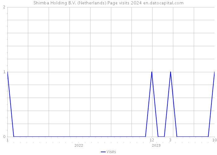 Shimba Holding B.V. (Netherlands) Page visits 2024 