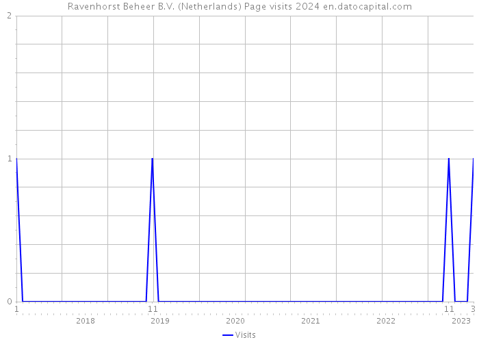 Ravenhorst Beheer B.V. (Netherlands) Page visits 2024 