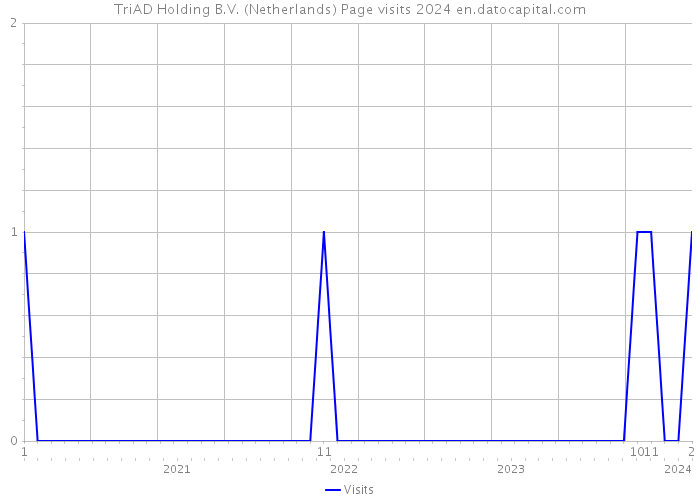 TriAD Holding B.V. (Netherlands) Page visits 2024 