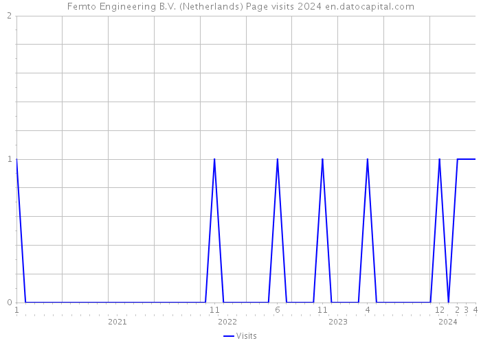 Femto Engineering B.V. (Netherlands) Page visits 2024 