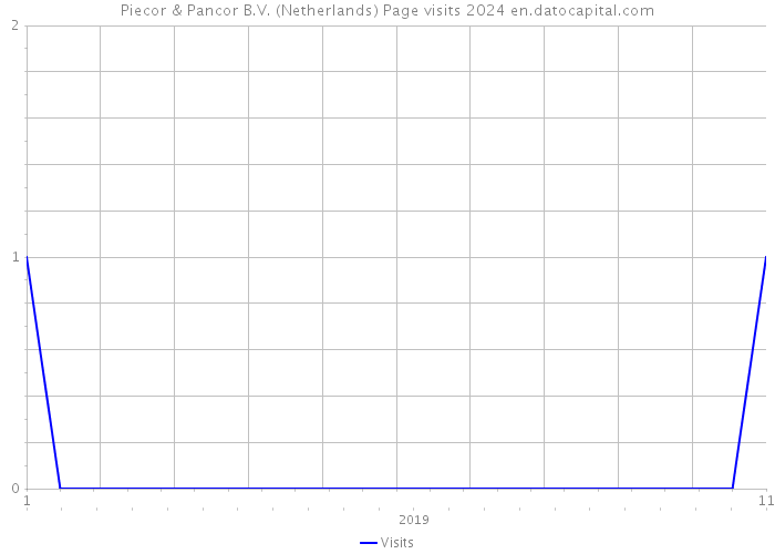 Piecor & Pancor B.V. (Netherlands) Page visits 2024 