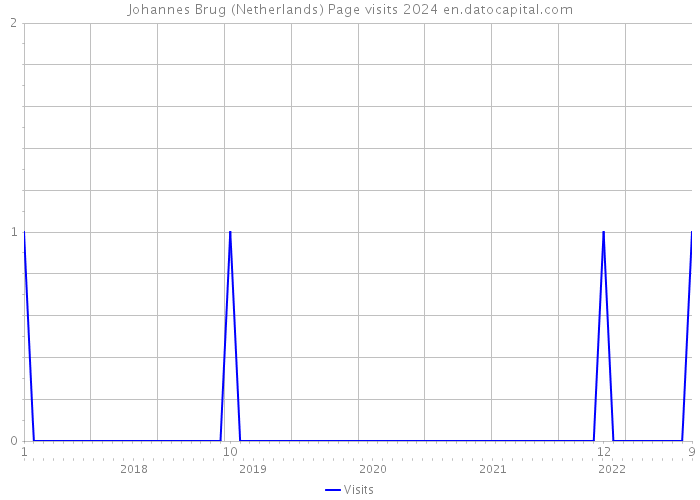 Johannes Brug (Netherlands) Page visits 2024 