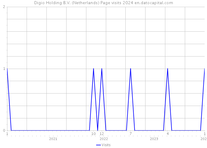 Digio Holding B.V. (Netherlands) Page visits 2024 