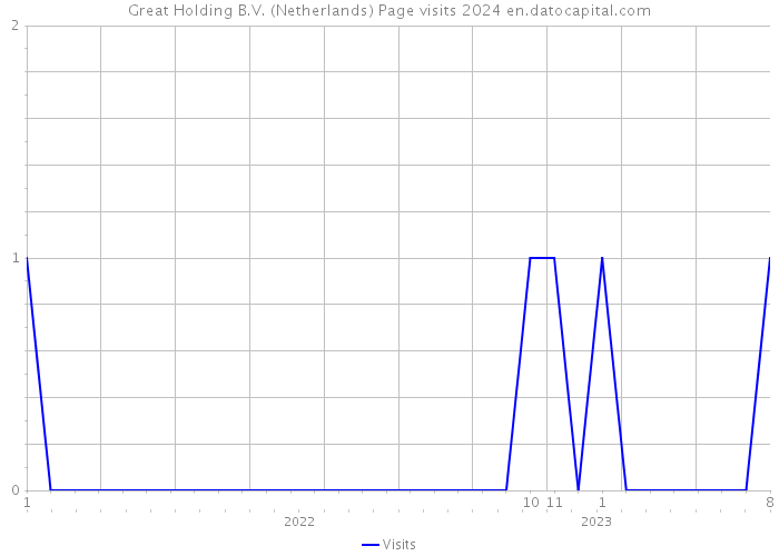 Great Holding B.V. (Netherlands) Page visits 2024 