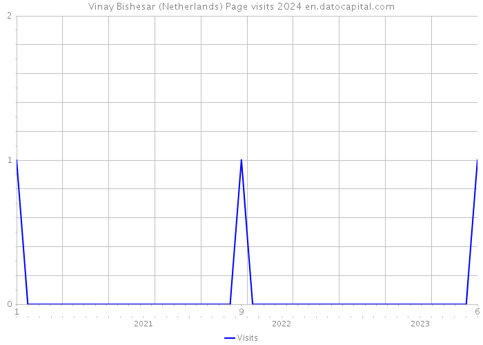 Vinay Bishesar (Netherlands) Page visits 2024 