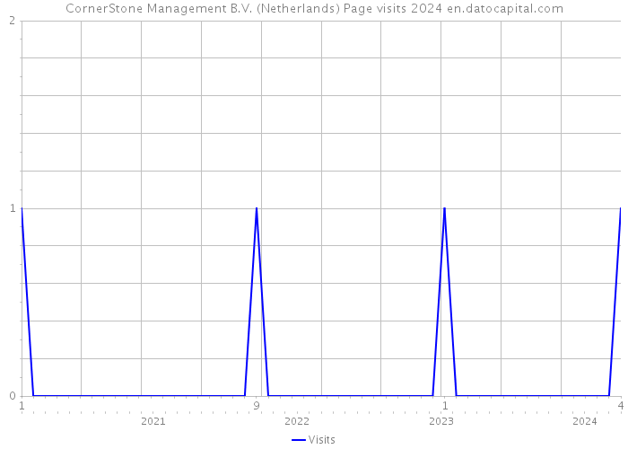 CornerStone Management B.V. (Netherlands) Page visits 2024 
