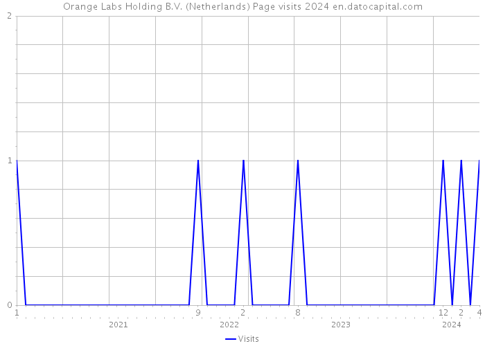 Orange Labs Holding B.V. (Netherlands) Page visits 2024 