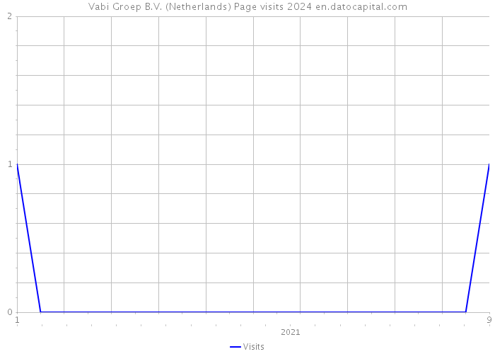 Vabi Groep B.V. (Netherlands) Page visits 2024 