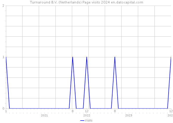 Turnaround B.V. (Netherlands) Page visits 2024 
