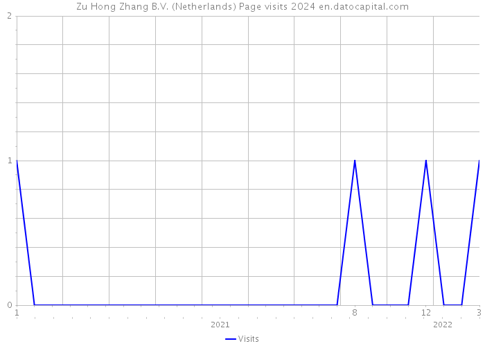 Zu Hong Zhang B.V. (Netherlands) Page visits 2024 