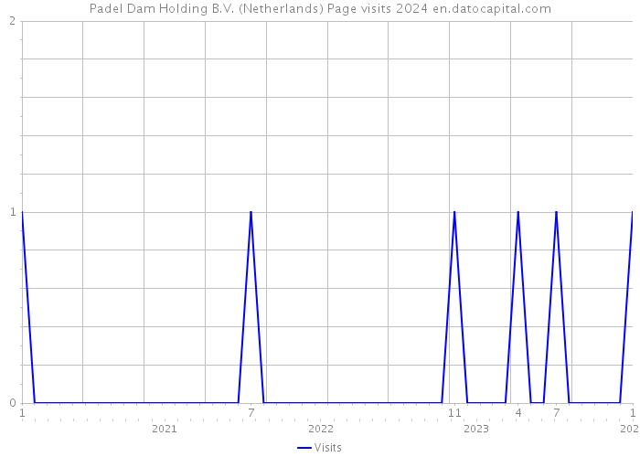 Padel Dam Holding B.V. (Netherlands) Page visits 2024 