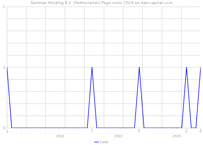Sammar Holding B.V. (Netherlands) Page visits 2024 