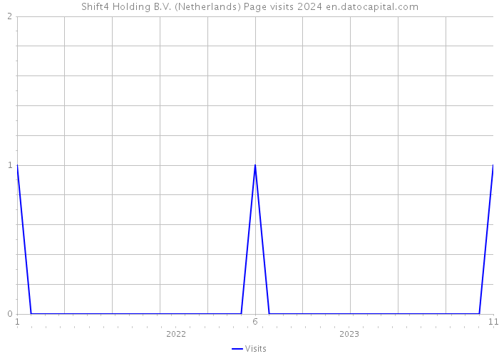 Shift4 Holding B.V. (Netherlands) Page visits 2024 