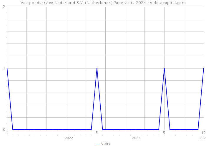 Vastgoedservice Nederland B.V. (Netherlands) Page visits 2024 