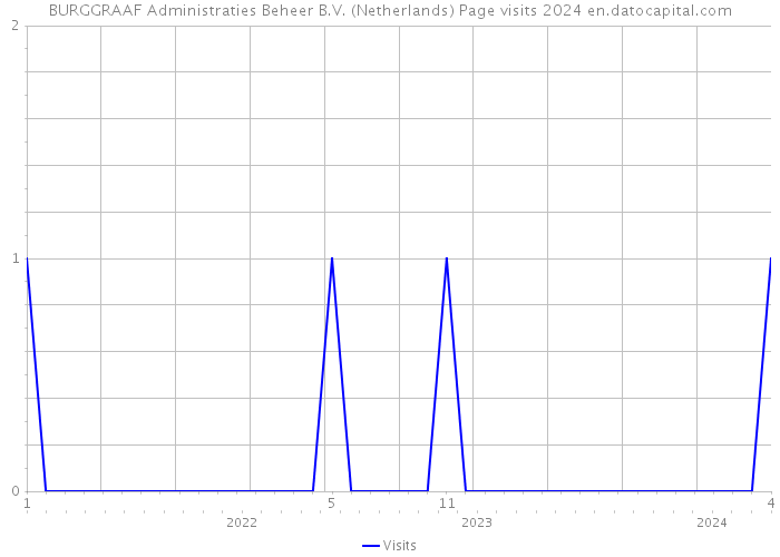 BURGGRAAF Administraties Beheer B.V. (Netherlands) Page visits 2024 