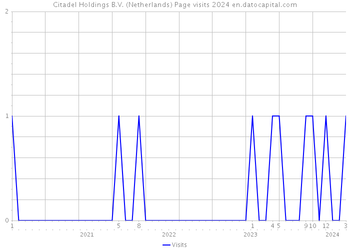 Citadel Holdings B.V. (Netherlands) Page visits 2024 