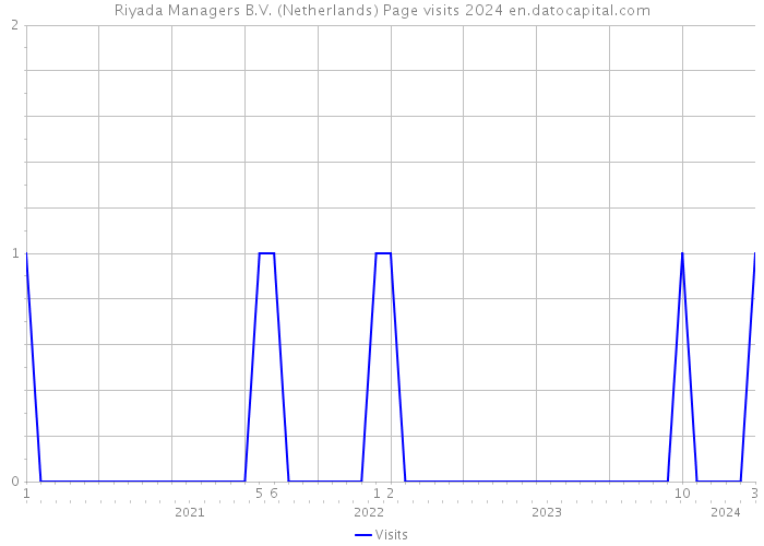 Riyada Managers B.V. (Netherlands) Page visits 2024 
