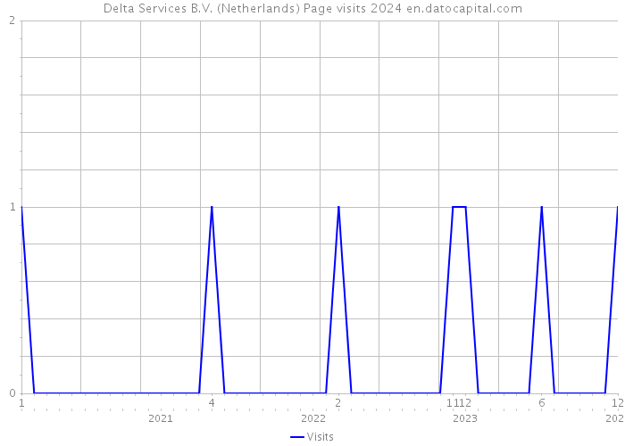 Delta Services B.V. (Netherlands) Page visits 2024 