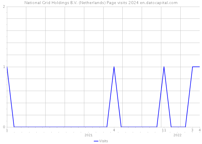 National Grid Holdings B.V. (Netherlands) Page visits 2024 