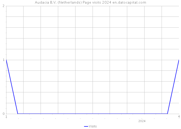 Audacia B.V. (Netherlands) Page visits 2024 