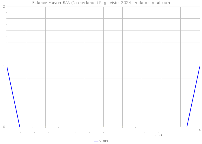 Balance Master B.V. (Netherlands) Page visits 2024 