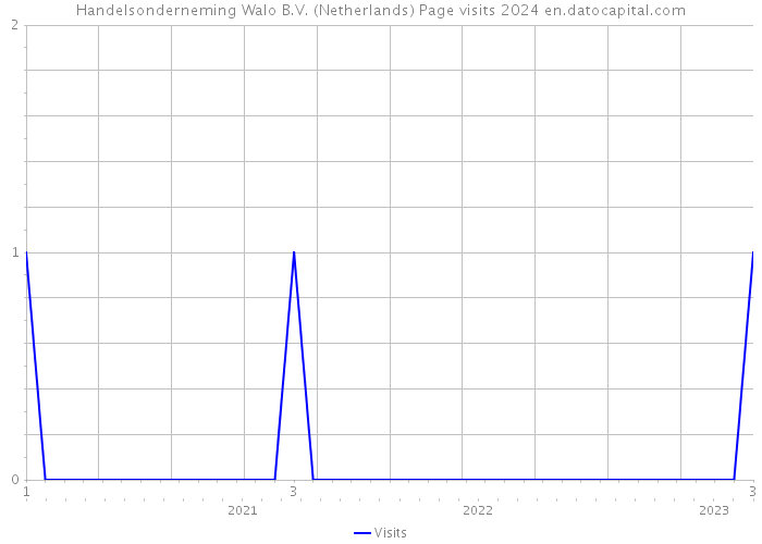 Handelsonderneming Walo B.V. (Netherlands) Page visits 2024 