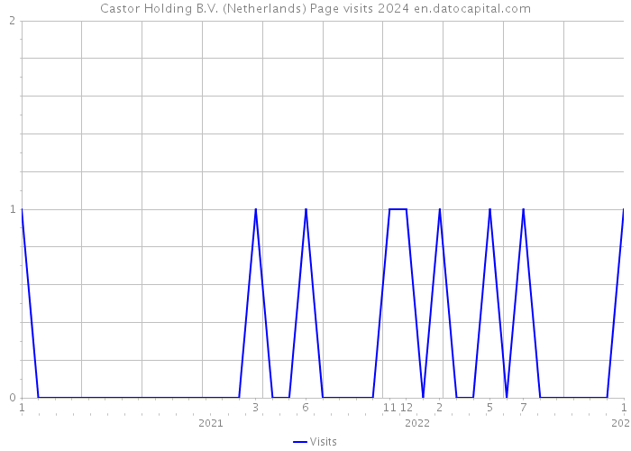 Castor Holding B.V. (Netherlands) Page visits 2024 