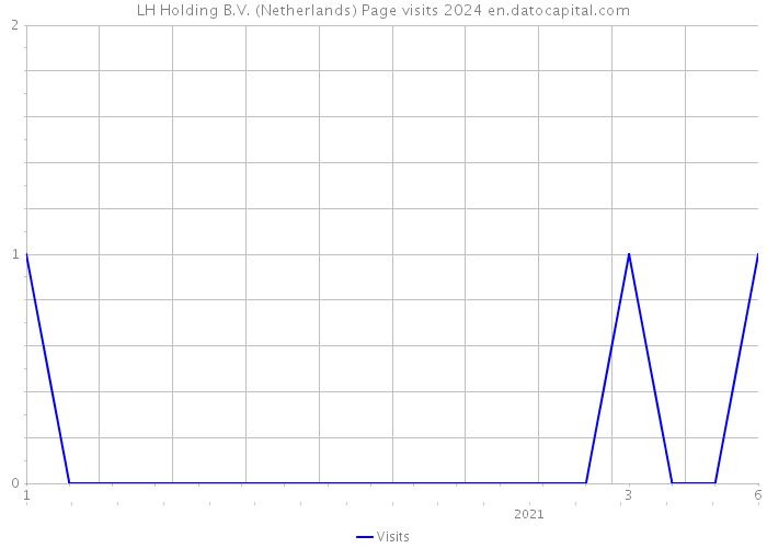 LH Holding B.V. (Netherlands) Page visits 2024 