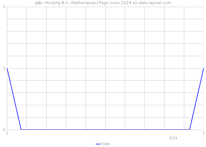 JaBo Holding B.V. (Netherlands) Page visits 2024 
