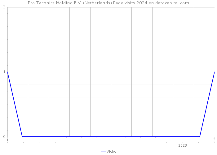 Pro Technics Holding B.V. (Netherlands) Page visits 2024 