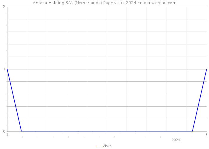 Antosa Holding B.V. (Netherlands) Page visits 2024 