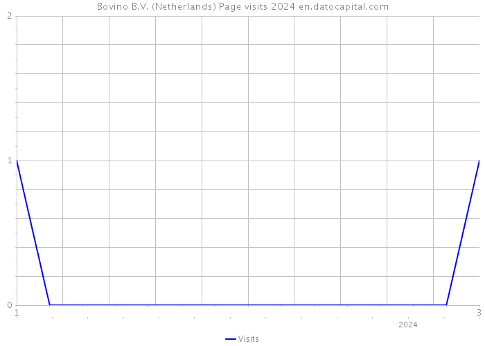 Bovino B.V. (Netherlands) Page visits 2024 