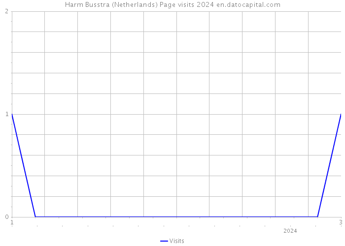 Harm Busstra (Netherlands) Page visits 2024 