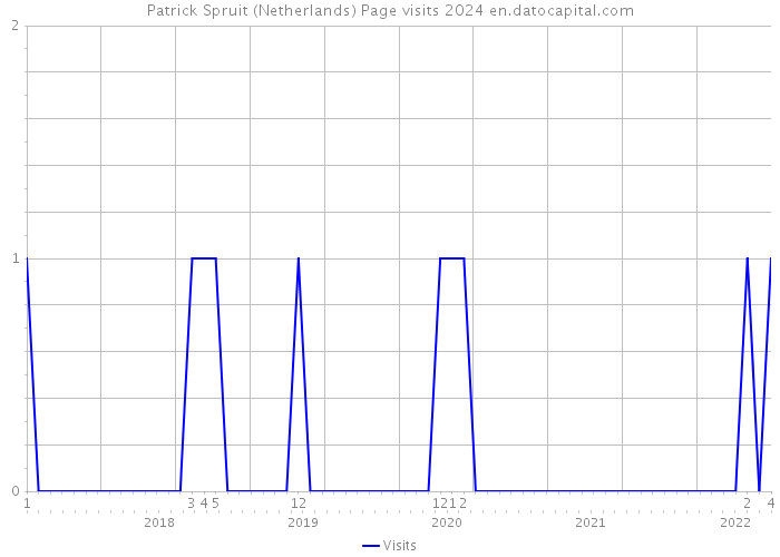 Patrick Spruit (Netherlands) Page visits 2024 