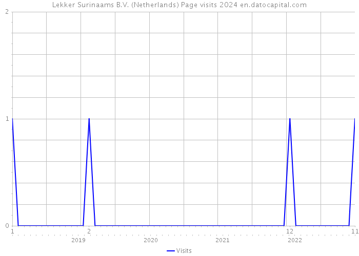 Lekker Surinaams B.V. (Netherlands) Page visits 2024 