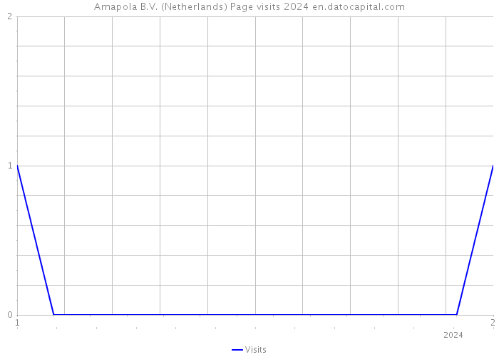 Amapola B.V. (Netherlands) Page visits 2024 