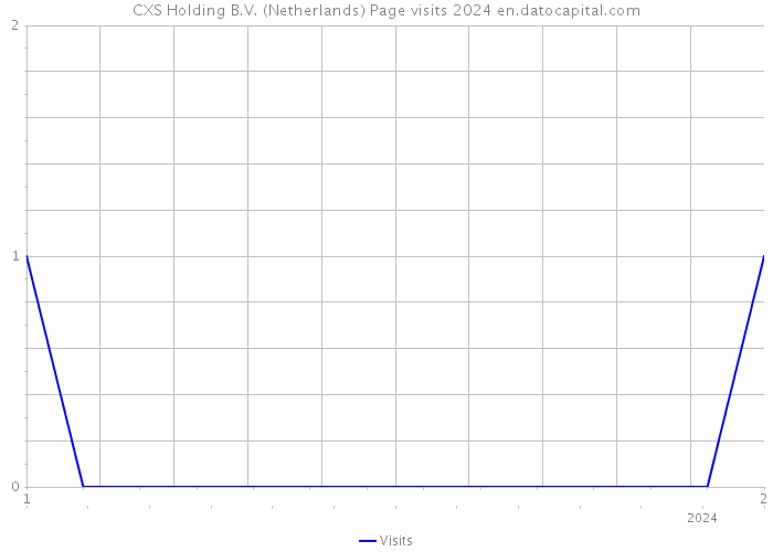 CXS Holding B.V. (Netherlands) Page visits 2024 