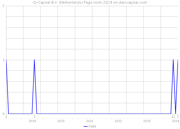 Q-Capital B.V. (Netherlands) Page visits 2024 